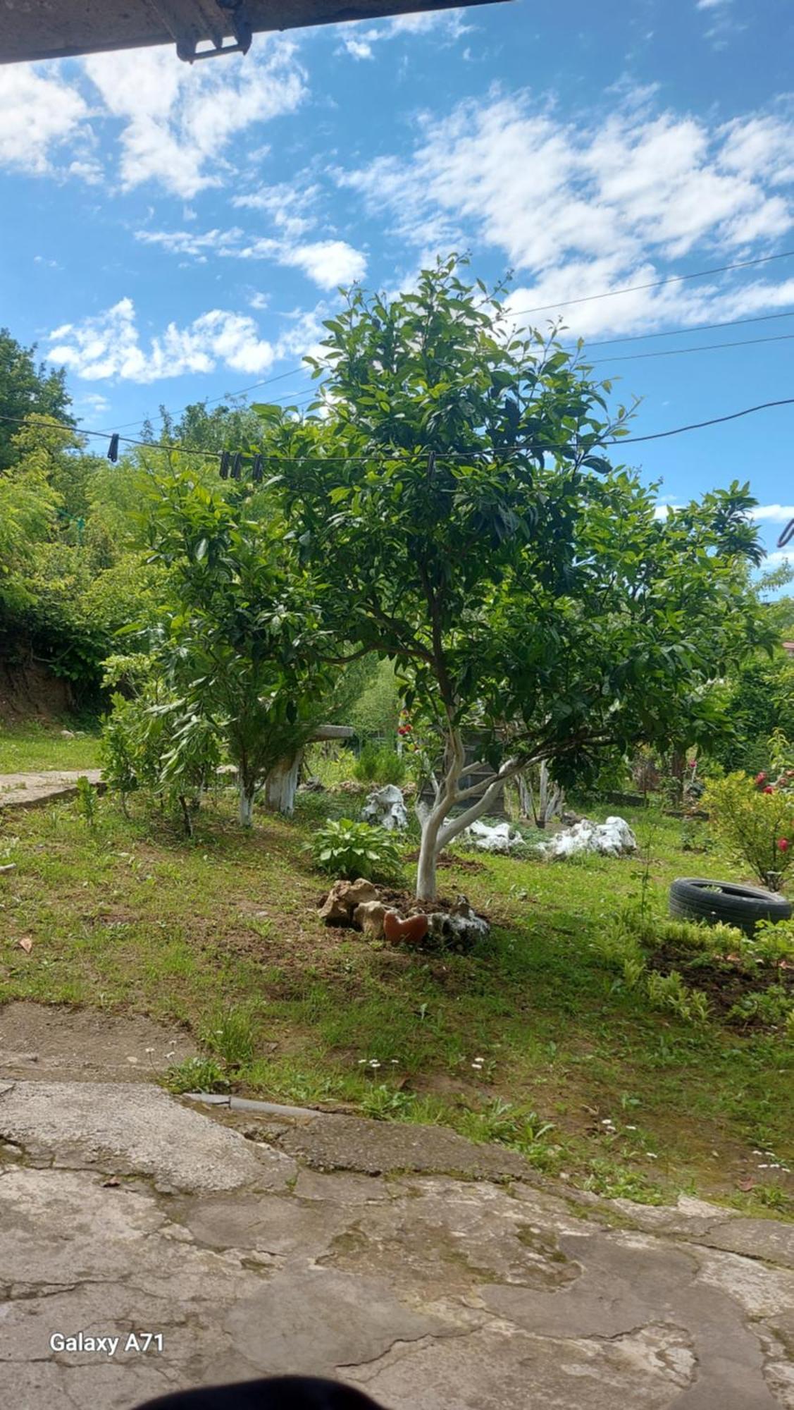 קוטאיסי Mero House מראה חיצוני תמונה
