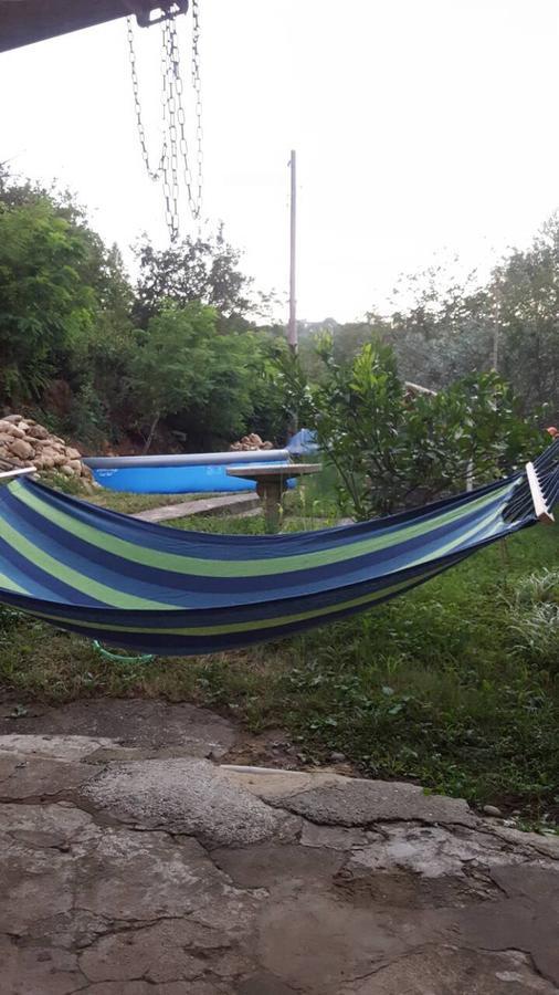 קוטאיסי Mero House מראה חיצוני תמונה